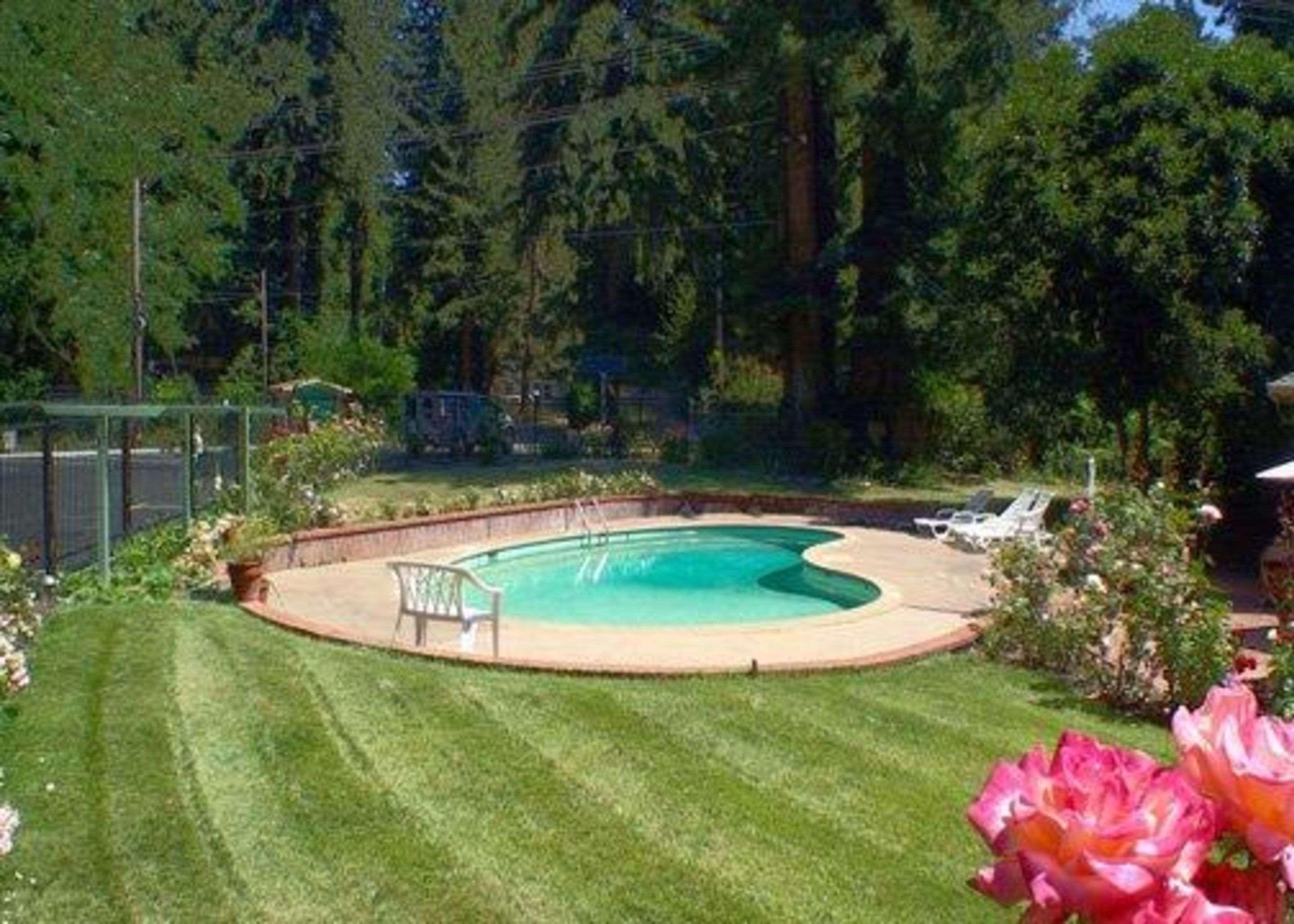 Quality Inn & Suites Santa Cruz Mountains Ben Lomond Exterior photo